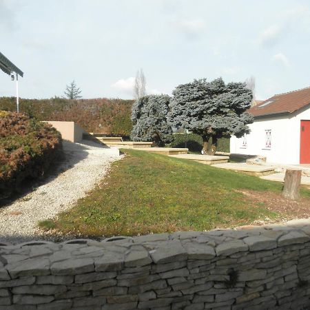 Le Rive De Saone Panzió Verdun-sur-le-Doubs Kültér fotó